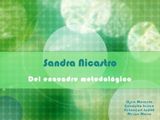 Sandra Nicastro
Del encuadre metodológico
 