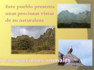 Este pueblo presenta unas preciosas vistas de su naturalezaY con preciosos animales 