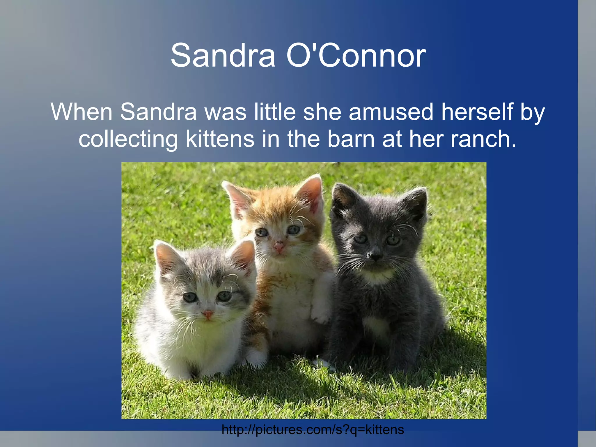 Sandra O'Connor When Sandra was little she amused herself by collecting kittens in the barn at her ranch. http://pictures.com/s?q=kittens 