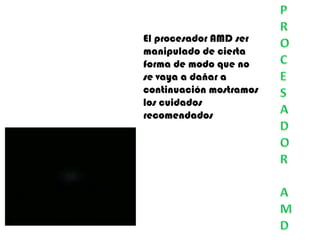 El procesador AMD ser
manipulado de cierta
forma de modo que no
se vaya a dañar a
continuación mostramos
los cuidados
recomendados
 