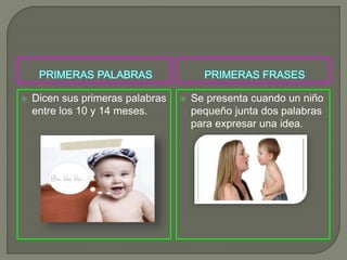  Dicen sus primeras palabras
entre los 10 y 14 meses.
 Se presenta cuando un niño
pequeño junta dos palabras
para expresar una idea.
 