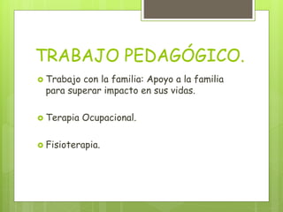 TRABAJO PEDAGÓGICO.
 Trabajo con la familia: Apoyo a la familia
para superar impacto en sus vidas.
 Terapia Ocupacional.
 Fisioterapia.
 