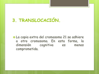 3. TRANSLOCACIÓN.
 La copia extra del cromosoma 21 se adhiere
a otro cromosoma. En esta forma, la
dimensión cognitiva es menos
comprometida.
 