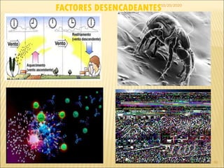 FACTORES DESENCADEANTES10/20/2020
60
 