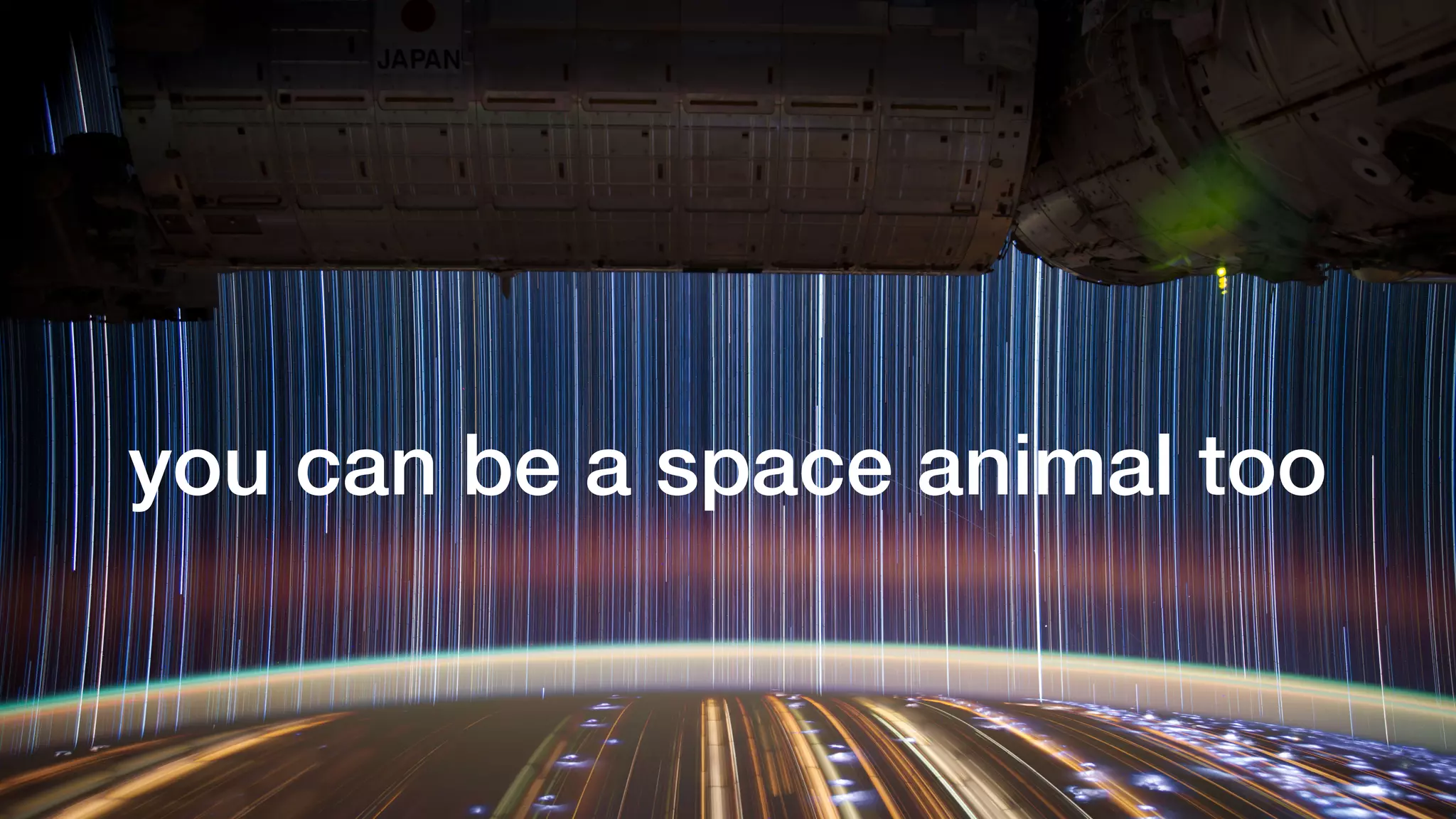 you can be a space animal too
 