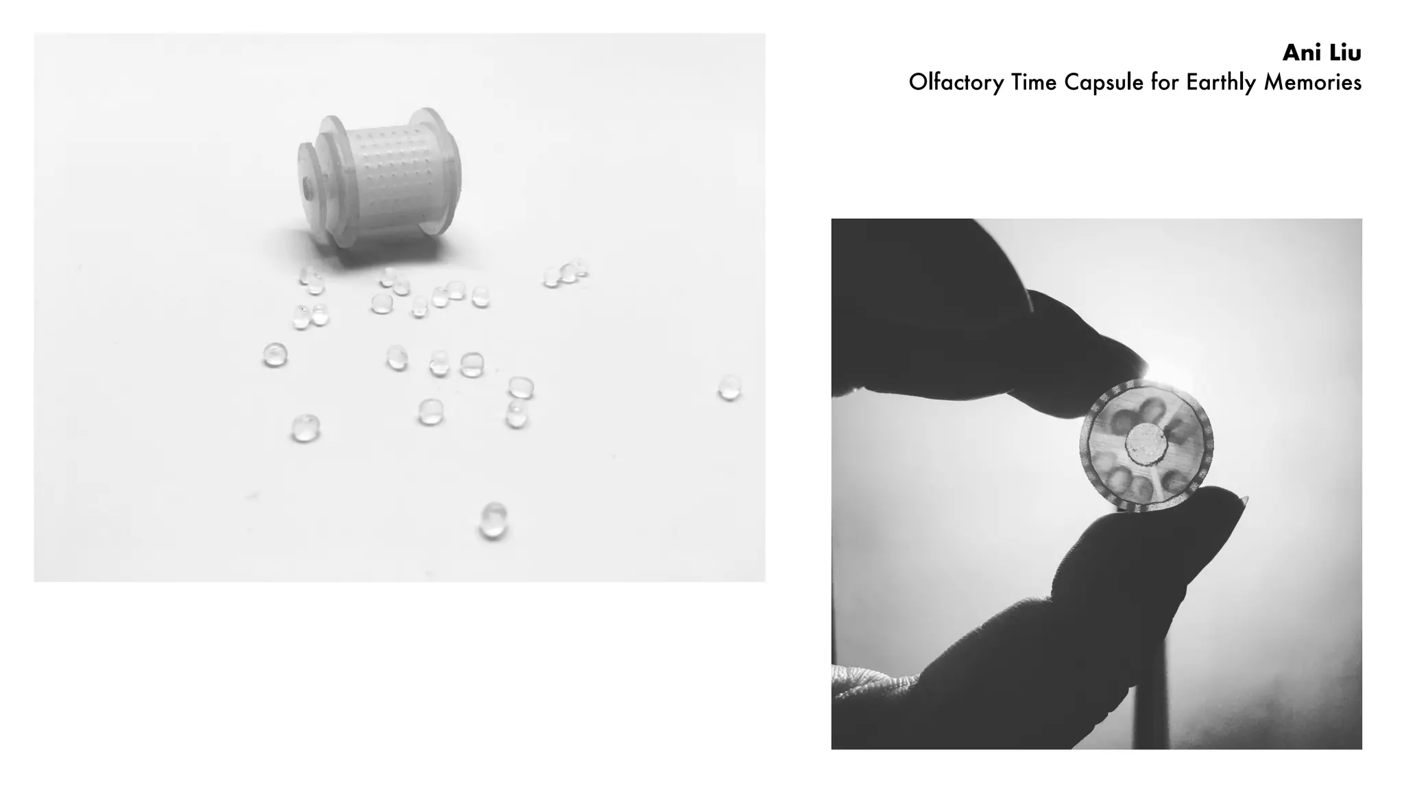 Ani Liu
Olfactory Time Capsule for Earthly Memories
 