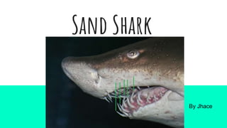 Sand Shark
By Jhace
 