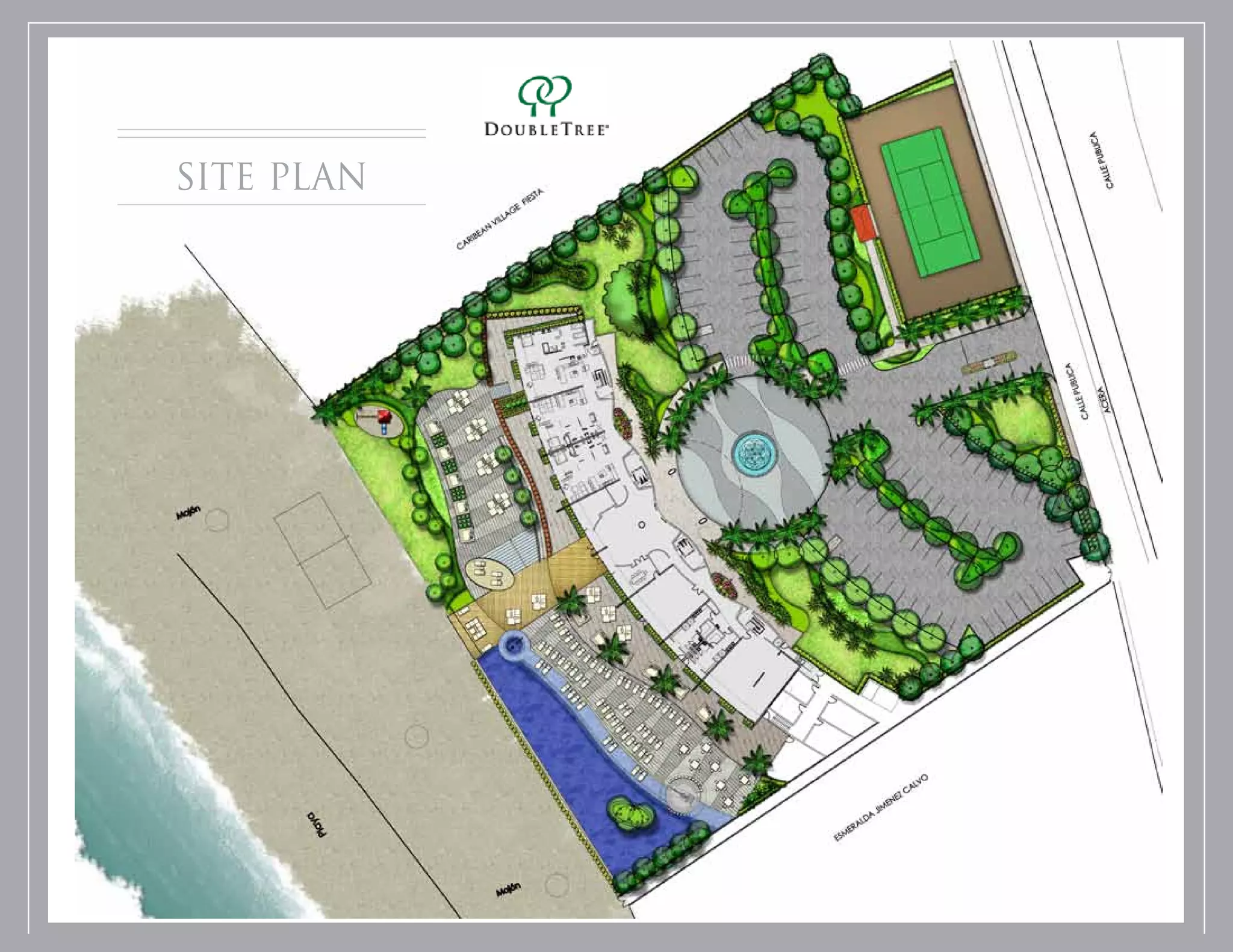 site plan
 