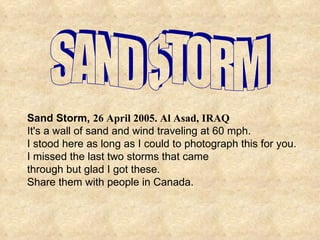 SAND STORM Sand Storm,  26 April 2005. Al Asad, IRAQ   It's a wall of sand and wind traveling at 60 mph.   I stood here as long as I could to photograph this for you. I missed the last two storms that came  through but glad I got these.   Share them with people in Canada.  