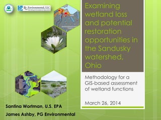 Examining
wetland loss
and potential
restoration
opportunities in
the Sandusky
watershed,
Ohio
Methodology for a
GIS-based assessment
of wetland functions
March 26, 2014
Santina Wortman, U.S. EPA
James Ashby, PG Environmental
 