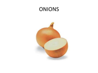ONIONS

 