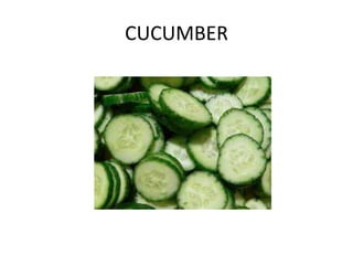 CUCUMBER