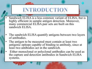 Sandwich elisa | PPTX