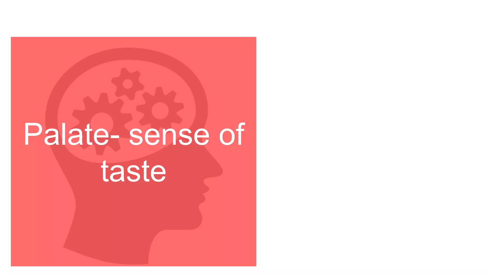 Palate- sense of
taste