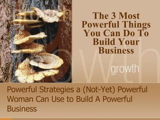 Powerful Strategies a (Not-Yet) Powerful Woman Can Use to Build A Powerful Business The 3 Most Powerful Things You Can Do To Build Your Business 