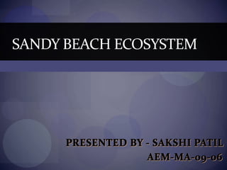 SANDY BEACH ECOSYSTEM
 