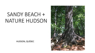 SANDY BEACH +
NATURE HUDSON
HUDSON, QUÉBEC
 