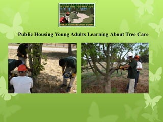 Public Housing Young Adults Learning About Tree Care
 