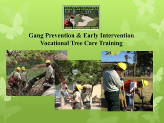 Gang Prevention & Early Intervention
Vocational Tree Care Training
 