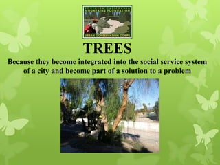 TREES
Because they become integrated into the social service system
of a city and become part of a solution to a problem
 