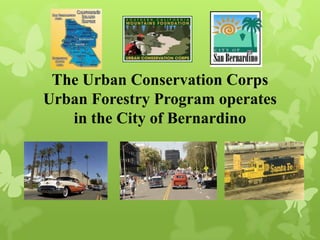 The Urban Conservation Corps
Urban Forestry Program operates
in the City of Bernardino
 