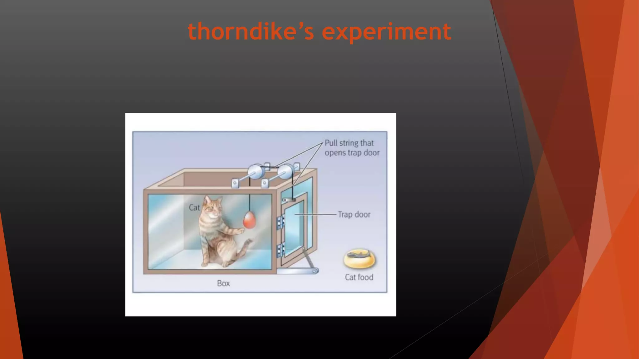 thorndike’s experiment
 