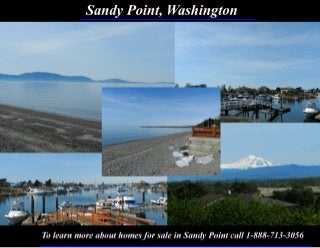 Sandy Point, Washington