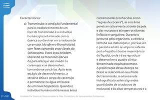 Unidade 4 • Doenças Relacionadas às Más Condições de Saneamentos Ambientais
111/231
Características:
a) Transmissão: a condição fundamental
para o estabelecimento de um
foco de transmissão é o indivíduo
humano já contaminado com a
doença contaminar um criadouro de
caramujos (do gênero Biomphalaria)
com fezes contendo ovos viáveis do
Schistosoma. Esses ovos eclodem,
liberando os miracídios (larvas
do parasita) que vão invadir os
caramujos e se desenvolver,
tornando-se cercárias. Após esse
estágio de desenvolvimento, a
cercária deixa o corpo do caramujo
e permanece na água em busca
de um novo hospedeiro. Quando o
indivíduo humano entra nessas áreas
contaminadas (conhecidas como
“lagoas de coceira”), as cercárias
penetram ativamente através da pele
e das mucosas e atingem os sitemas
linfático e sanguíneo. Durante o
percurso pelo organismo, a cercária
termina sua maturação e, por sua vez,
o parasita adulto se aloja no sistema
porta-hepático (vasos mesentéricos
do fígado), onde irá se reproduzir
e desenvolver o quadro clínico
denominado esquistossomose.
A proliferação dessa doença no
Brasil se relaciona ao seu modo
de transmissão, à extensa rede
hidrográfica brasileira (grandes
quantidades de criadouros de
moluscos) e às altas temperaturas e a
 