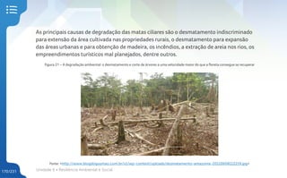 Unidade 6 • Resiliência Ambiental e Social
170/231
As principais causas de degradação das matas ciliares são o desmatamento indiscriminado
para extensão da área cultivada nas propriedades rurais, o desmatamento para expansão
das áreas urbanas e para obtenção de madeira, os incêndios, a extração de areia nos rios, os
empreendimentos turísticos mal planejados, dentre outros.
Figura 21 – A degradação ambiental: o desmatamento e corte de árvores a uma velocidade maior do que a floreta consegue se recuperar
Fonte: <http://www.blogdogusmao.com.br/v1/wp-content/uploads/desmatamento-amazonia-20110608112219.jpg>
 