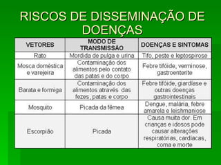 RISCOS DE DISSEMINAÇÃO DE DOENÇAS 