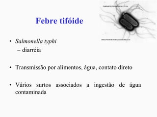 Febre tifóide
• Salmonella typhi
– diarréia
• Transmissão por alimentos, água, contato direto
• Vários surtos associados a ingestão de água
contaminada
 