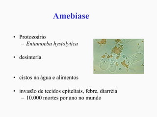 Amebíase
• Protozoário
– Entamoeba hystolytica
• desinteria
• cistos na água e alimentos
• invasão de tecidos epiteliais, febre, diarréia
– 10.000 mortes por ano no mundo
 