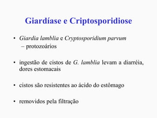 Giardíase e Criptosporidiose
• Giardia lamblia e Cryptosporidium parvum
– protozoários
• ingestão de cistos de G. lamblia levam a diarréia,
dores estomacais
• cistos são resistentes ao ácido do estômago
• removidos pela filtração
 