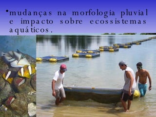 mudanças na morfologia pluvial e impacto sobre ecossistemas aquáticos. 
