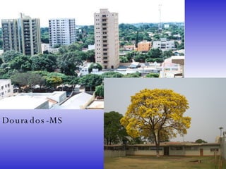Dourados-MS 