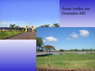 Áreas verdes em Dourados-MS 