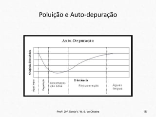 Poluição e Auto-depuração
Profª. Drª. Sonia V. W. B. de Oliveira 16
 