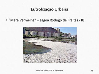 Eutrofização Urbana
• “Maré Vermelha” – Lagoa Rodrigo de Freitas - RJ
18
Profª. Drª. Sonia V. W. B. de Oliveira
 