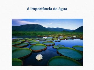 A importância da água
 