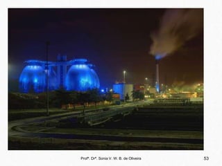 Profª. Drª. Sonia V. W. B. de Oliveira 53
 