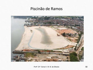 Piscinão de Ramos
Profª. Drª. Sonia V. W. B. de Oliveira 56
 