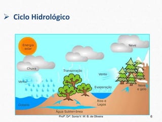 6
Profª. Drª. Sonia V. W. B. de Oliveira
 Ciclo Hidrológico
 