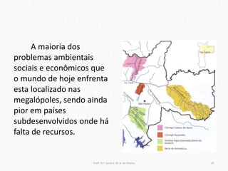 A maioria dos
problemas ambientais
sociais e econômicos que
o mundo de hoje enfrenta
esta localizado nas
megalópoles, sendo ainda
pior em países
subdesenvolvidos onde há
falta de recursos.
Profª. Drª. Sonia V. W. B. de Oliveira 87
 