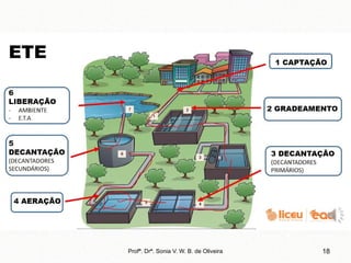 Profª. Drª. Sonia V. W. B. de Oliveira 18
 