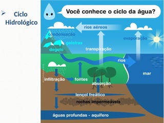 7
Profª. Drª. Sonia V. W. B. de Oliveira
 Ciclo
Hidrológico
 