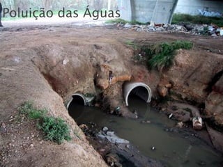 Poluição das Águas 
 