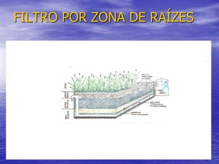 FILTRO POR ZONA DE RAÍZES