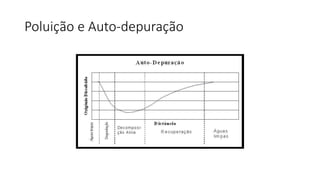 Poluição e Auto-depuração
 