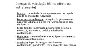 Doenças de veiculação hídrica (direta ou
indiretamente)
• Malária: transmitida de uma pessoa para outra pela
picada de mosquitos Anopheles
• Febre amarela e Dengue: mosquito do gênero Aedes
nas áreas urbanas e do gênero Haemagogus na área
de floresta
• Febre Tifóide: transmissão pela ingestão de água e
moluscos, assim como do leite e derivados
contaminados
• Hepatite A: transmissão fecal-oral, água contaminada,
alimentos contaminados
• Amebíase: ingestão de água ou alimentos
contaminados por dejetos, contendo cistos amebianos
 