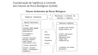Coordenação de Vigilância e Controle
dos Fatores de Risco Biológicos (Cofab)
 